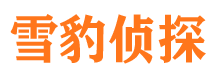 西林寻人公司